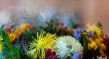 Wertgutschein CHF 100