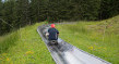 1 Ticket Erwachsene