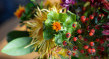 Wertgutschein CHF 200